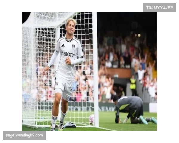 阿莫林命悬一线若负桑德兰或被解雇老板或赔偿1200万